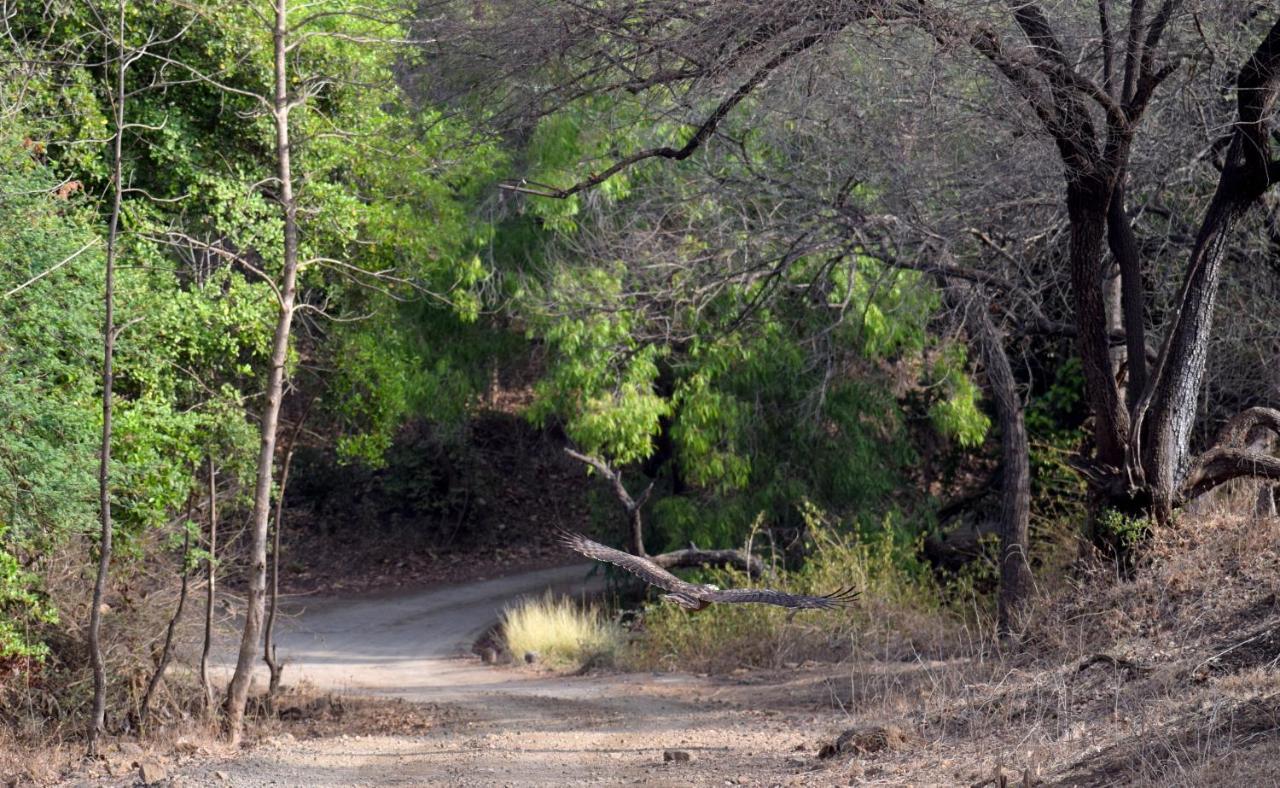 The Postcard Gir Wildlife Sanctuary Hotel Sasan Gir Exterior foto